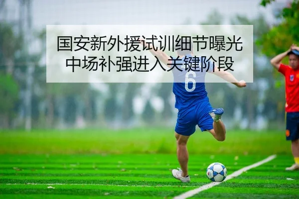 国安新外援试训细节曝光 中场补强进入关键阶段